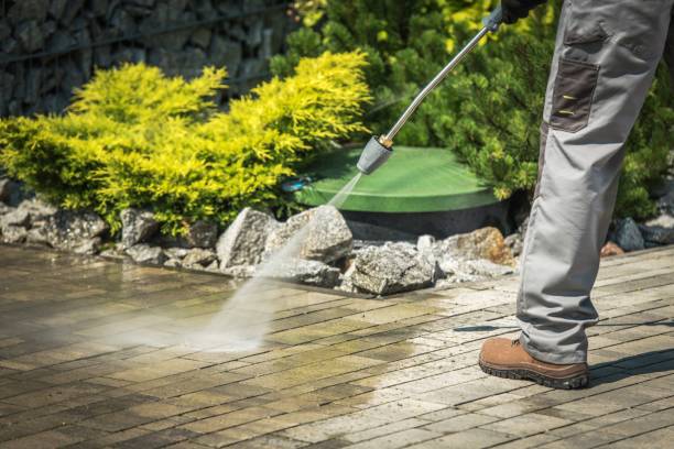 Best Window and Screen Pressure Cleaning in Cuba City, WI