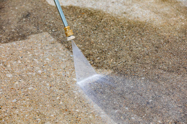 Best Driveway Cleaning and Restoration in Cuba City, WI